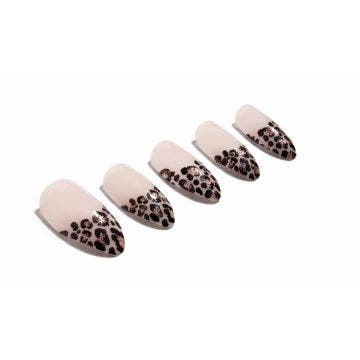 Illustration Ardell Nail Addict in French Leopard variant
