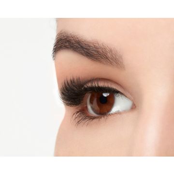 fauxmink 815 Lashes with Lightweight Knot-Free Invisiband